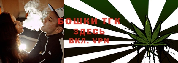 МДПВ Осинники