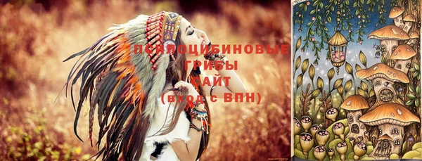 ешки Осташков