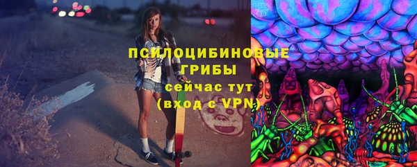 МДПВ Осинники