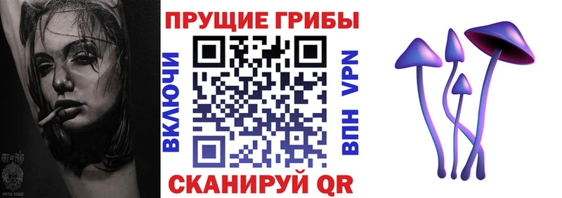 Купить закладки  Щёкино  Псилоцибиновые грибы прущие грибы